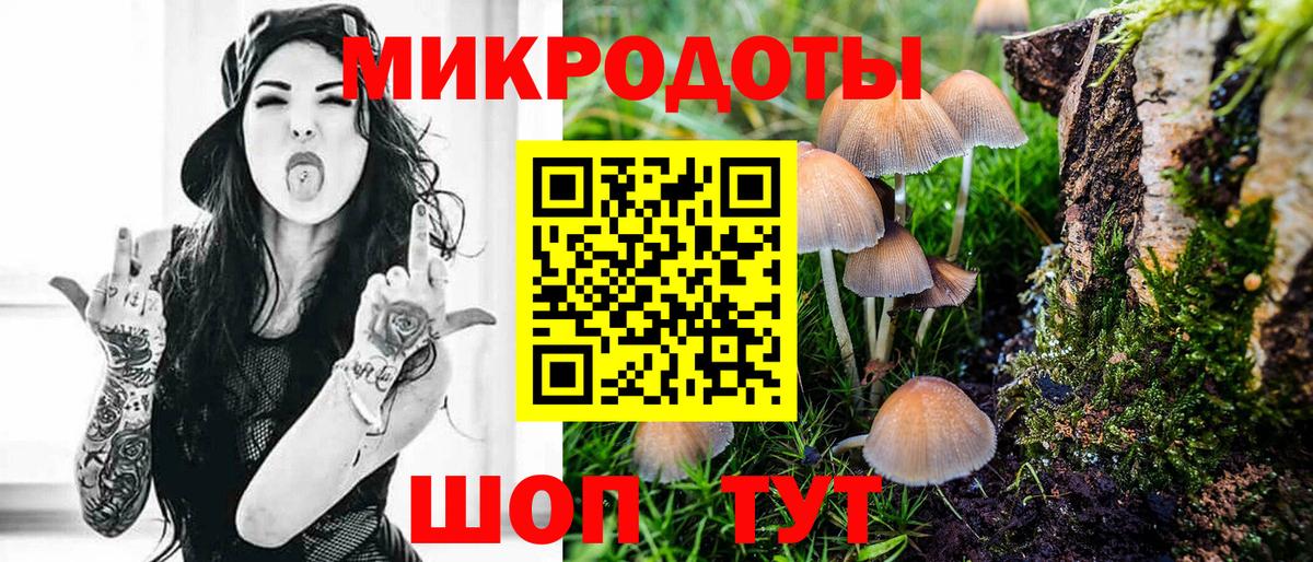 Галлюциногенные грибы мухоморы  Галлюциногенные грибы прущие грибы  Вход с VPN  хочу наркоту  Выкса 