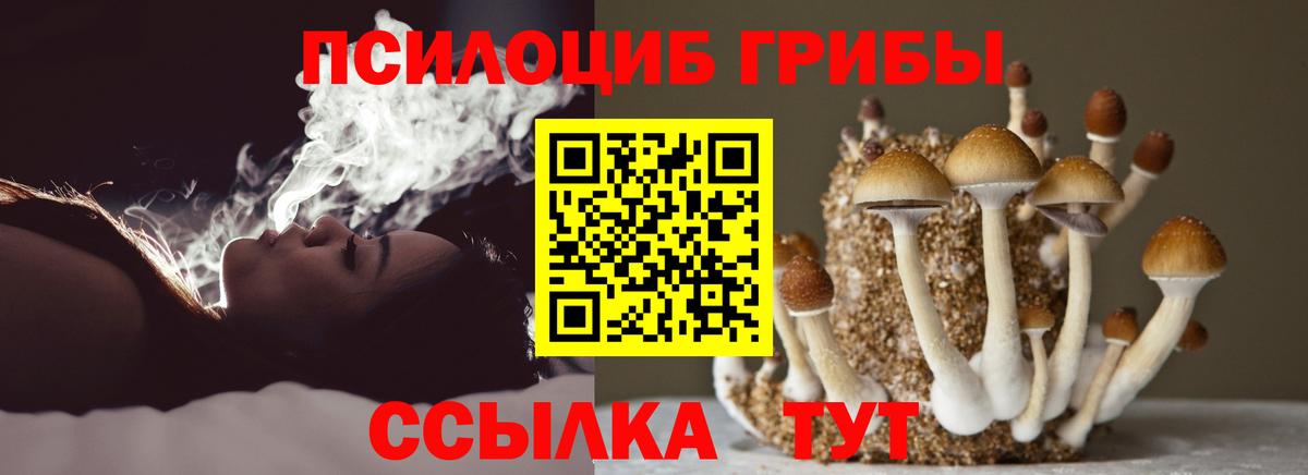 Галлюциногенные грибы Magic Shrooms Выкса